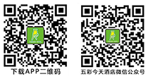 1493204725265776.png